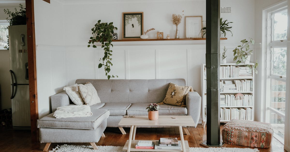 Skandinavisk indrettet stue med grå sofa, bogreol og planter — hjemlig stemning der illustrerer overvejelser ved boligkøb.